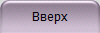 Вверх